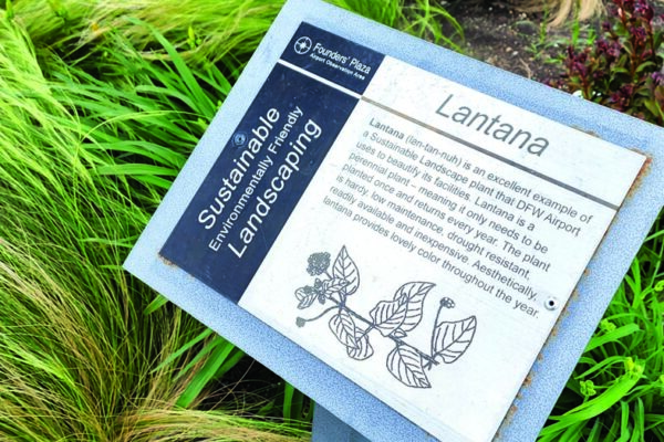 092RoadsidePlantDetails