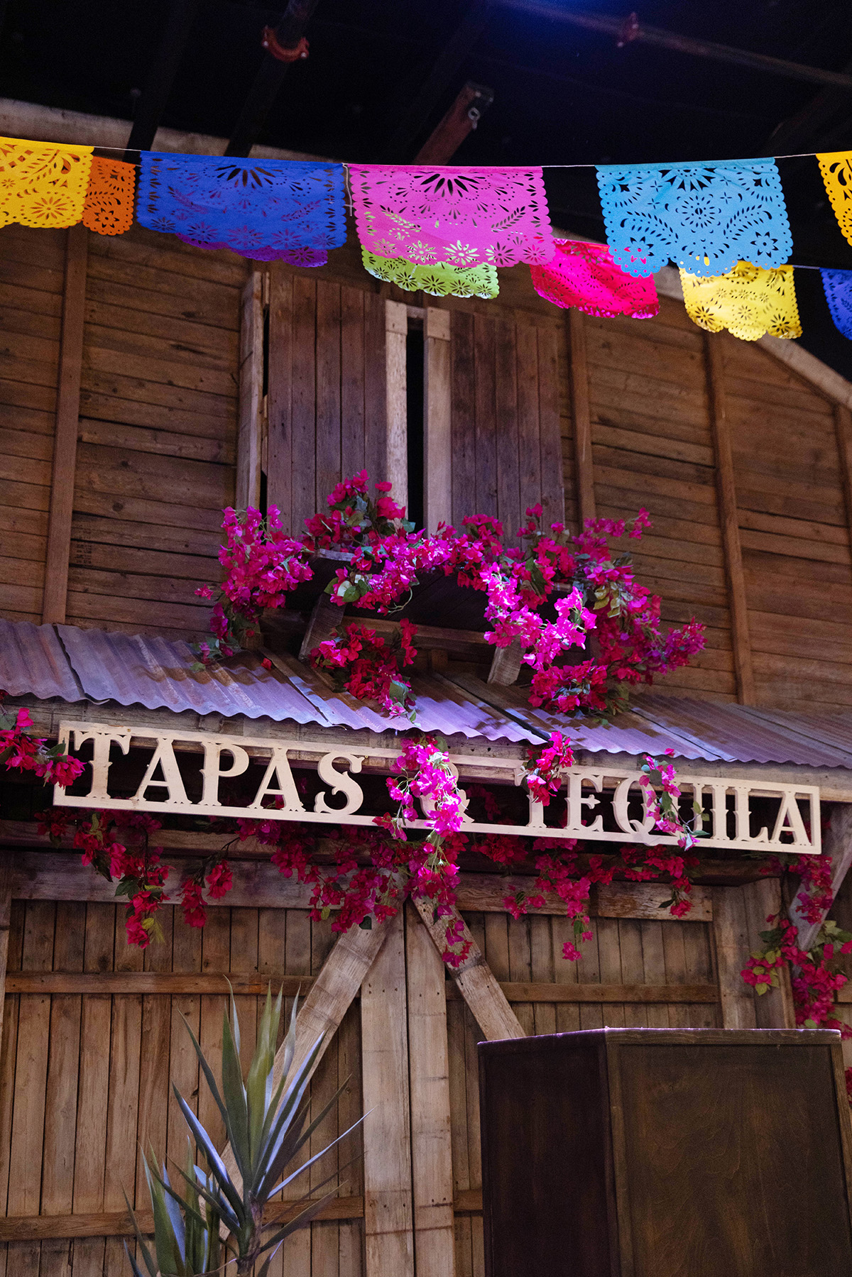 Devon and Patrick's decor