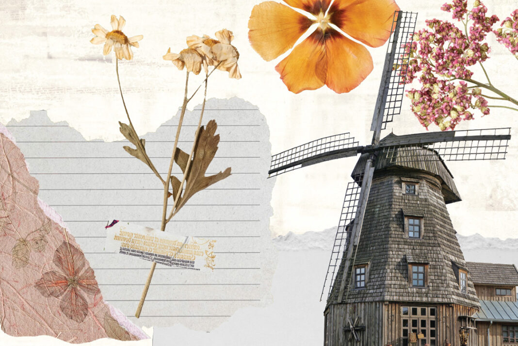 Flowers and a windmill
