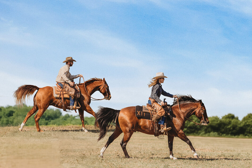 XIT Ranch horses