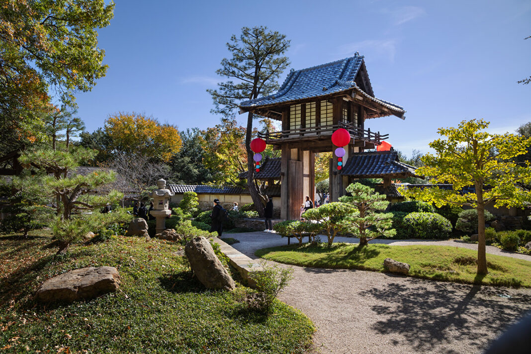 Fort Worth Botanic Gardens Japanese festival