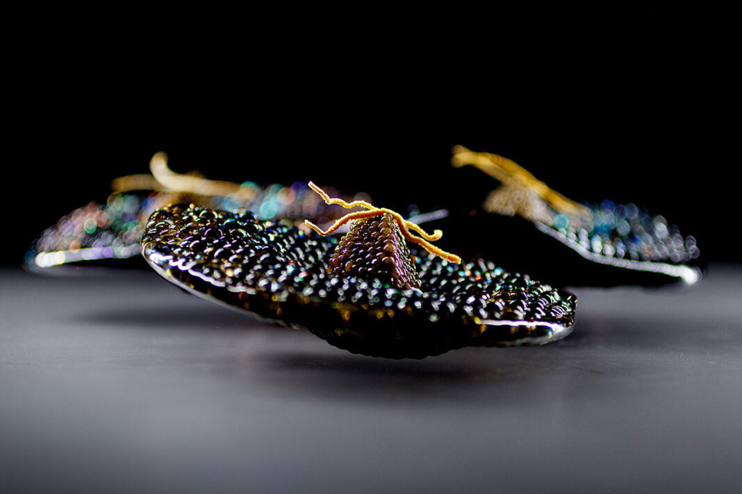 Alinea horseradish caviar