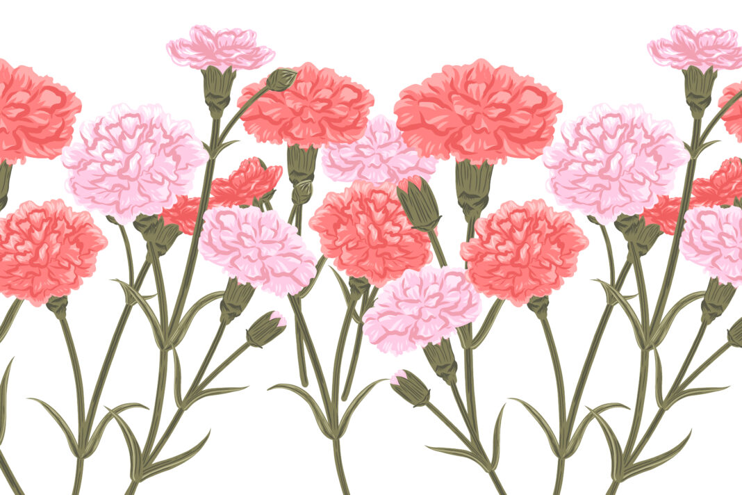 Pink flowers