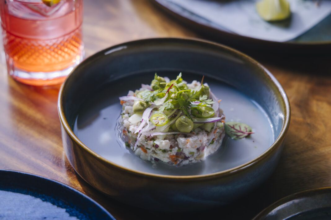 Ceviche Vallarta from Dos Mares