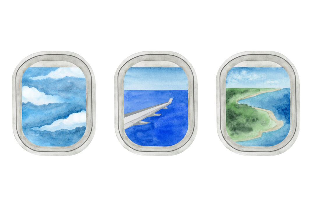 The view out airplane windows