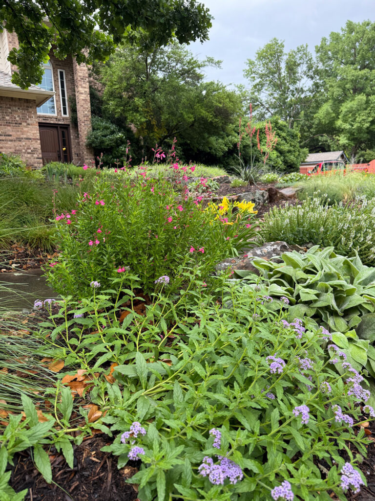 Perennial Garden Society tour