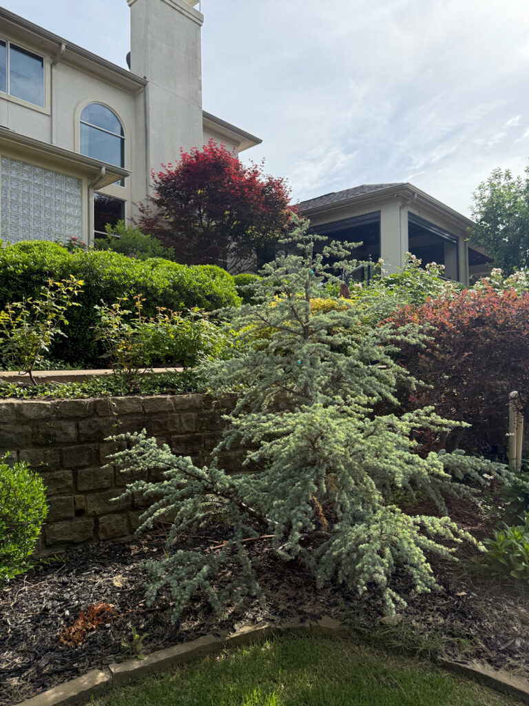 Perennial Garden Society tour