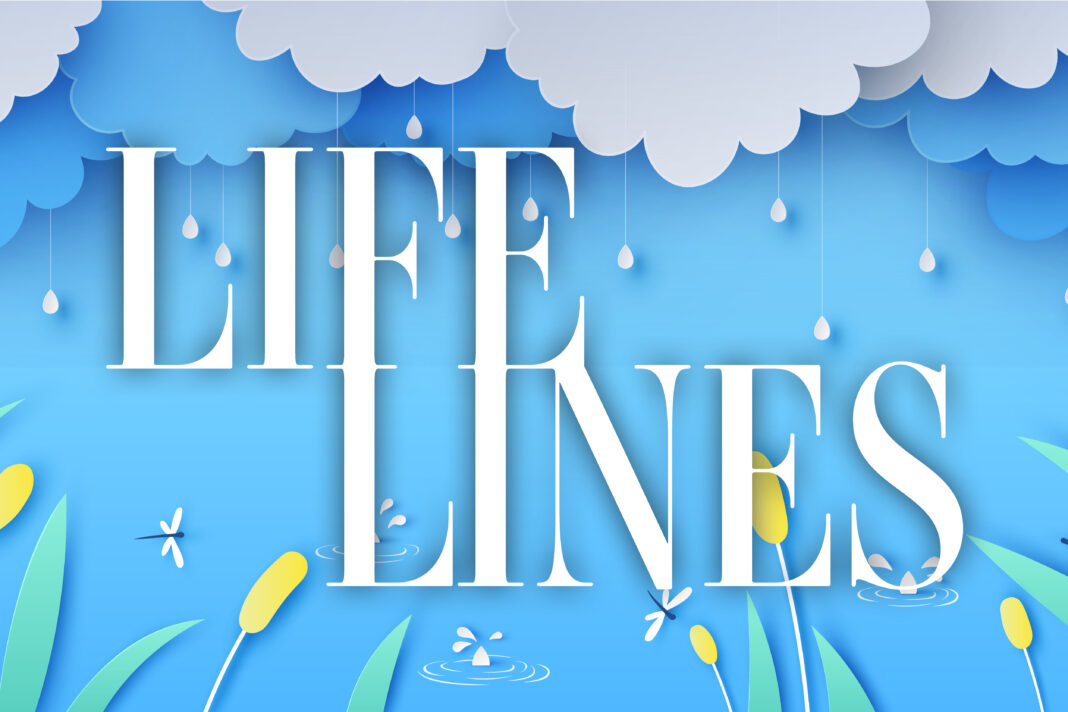 Life Lines in the rain
