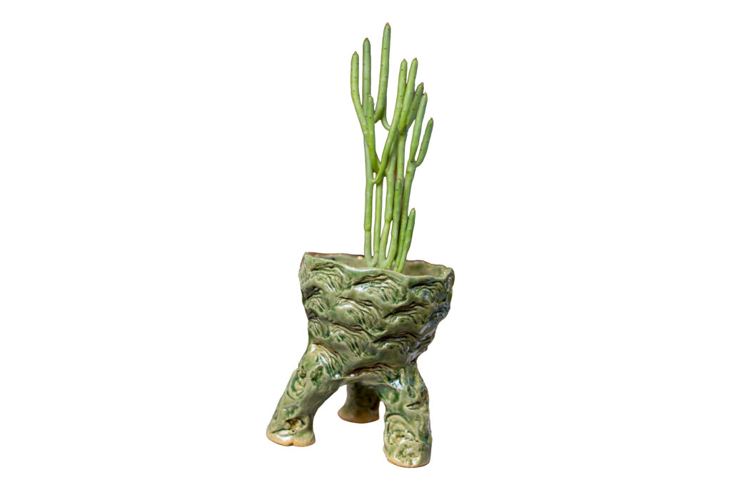 Cactus in a chunky pot