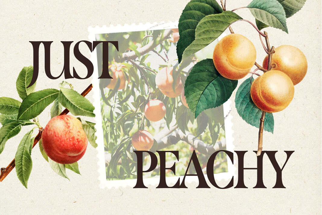 Just Peachy